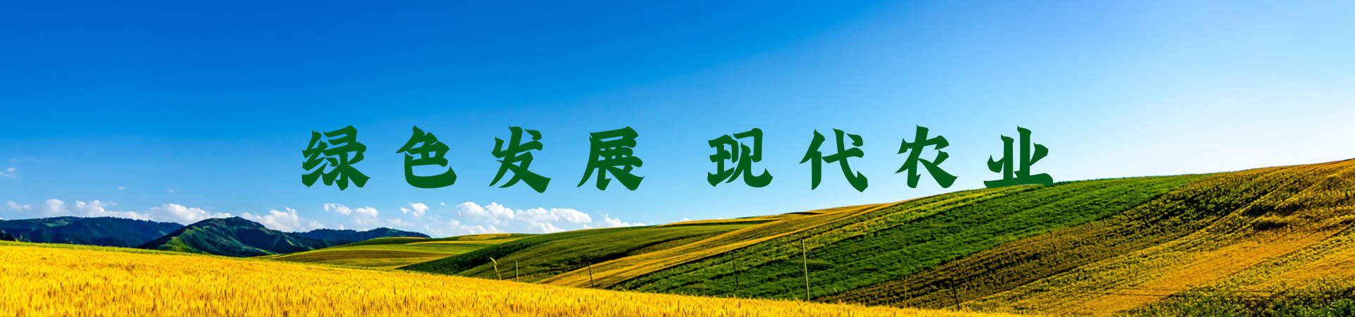 通用banner